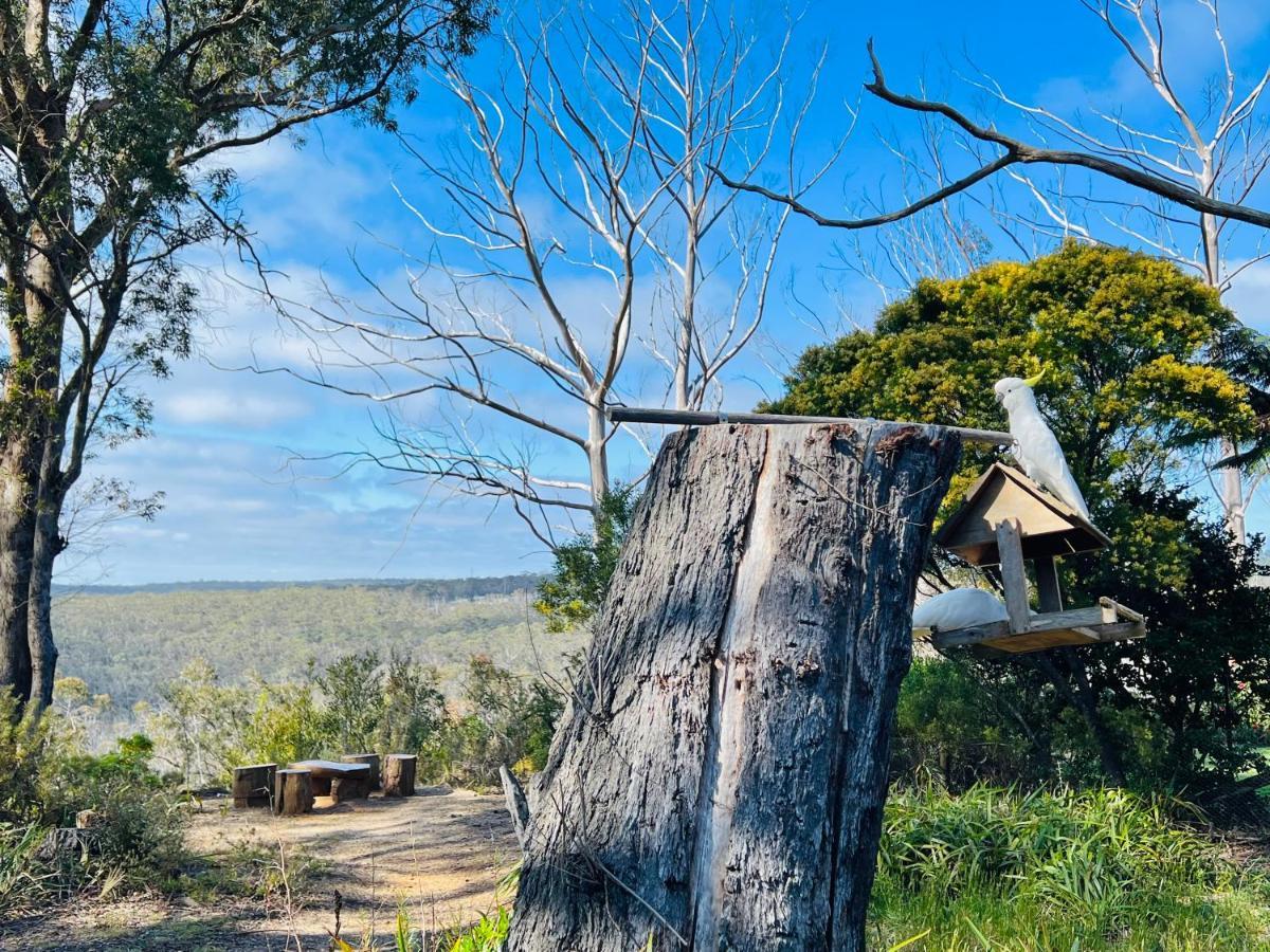 Canyon Cottage Majestic View 블랙히스 외부 사진