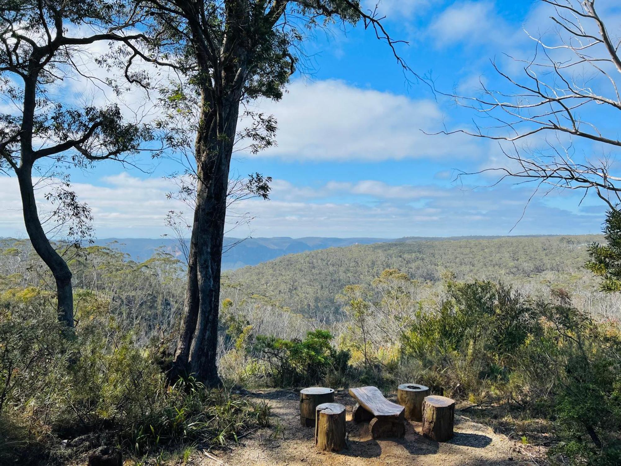 Canyon Cottage Majestic View 블랙히스 외부 사진